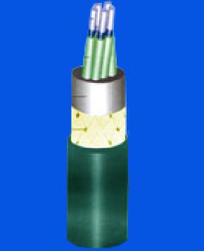 額定交流電壓1000v及以下艦船用低煙無鹵低毒阻燃控制電纜
